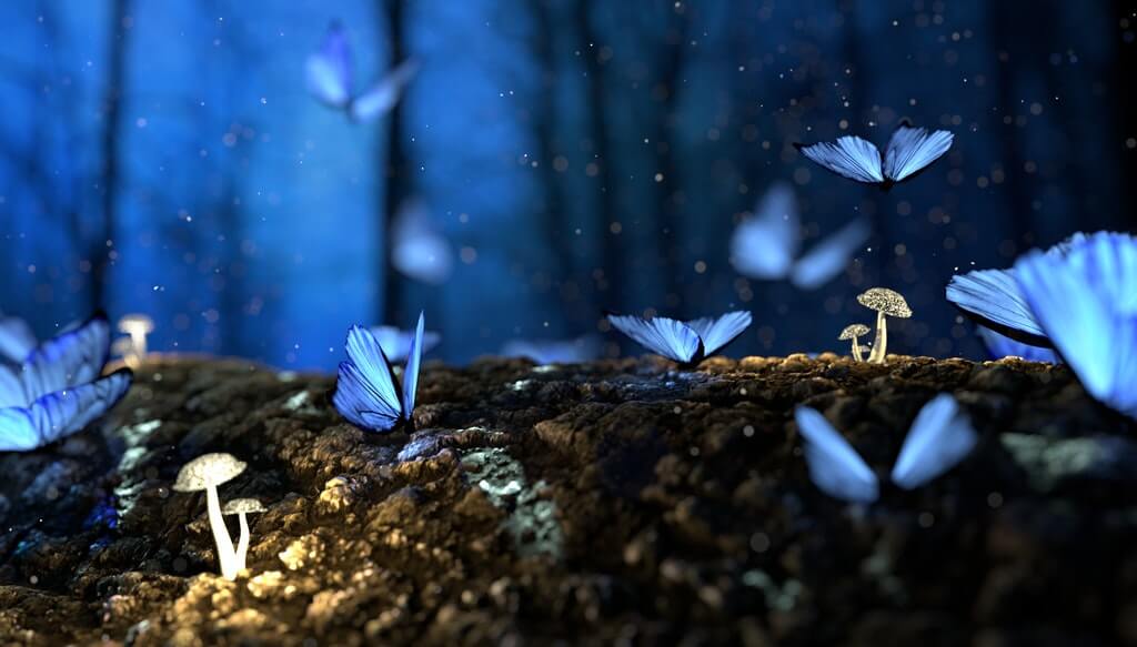 Forêt Mystique Papillons Bleus Champignons