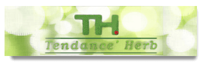 Tendance Herb Site Vitrine Paysagiste Création On Air Netlines