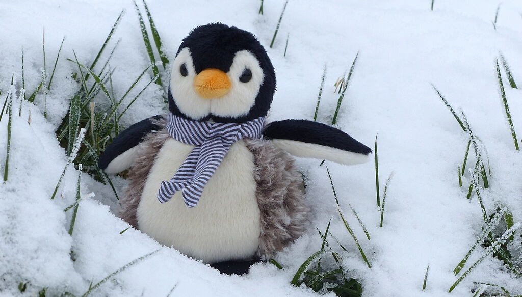 Pingouin Peluche dans la Neige